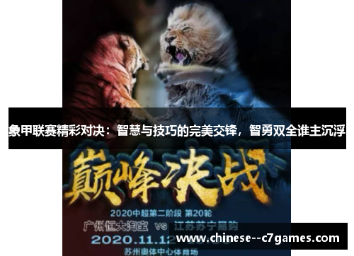 象甲联赛精彩对决：智慧与技巧的完美交锋，智勇双全谁主沉浮