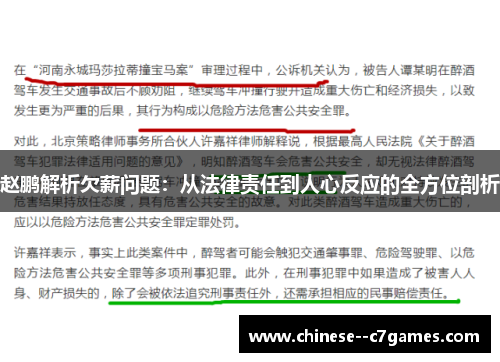 赵鹏解析欠薪问题：从法律责任到人心反应的全方位剖析