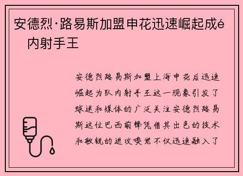安德烈·路易斯加盟申花迅速崛起成队内射手王